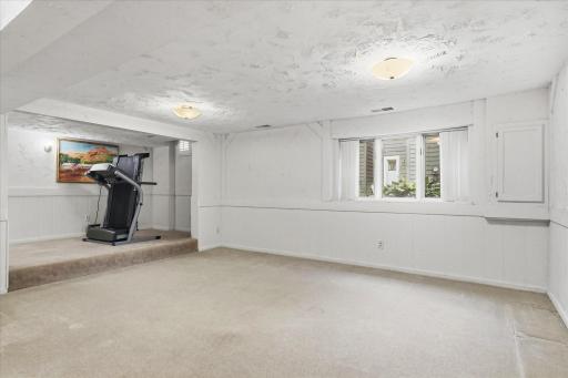 Spacious lower-level family room offers plenty of room for multiple seating or entertainment areas, with neutral finishes, large windows, and a versatile layout.