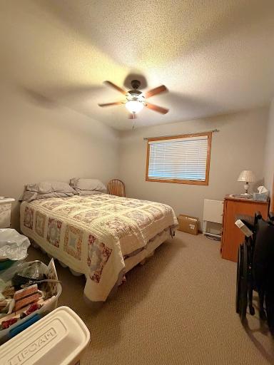140 Orchard Manor Drive SE, Plainview, MN 55964