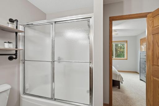 28-web-or-mls-6149_384th_Ln_North_Branch_MN_0995.jpg