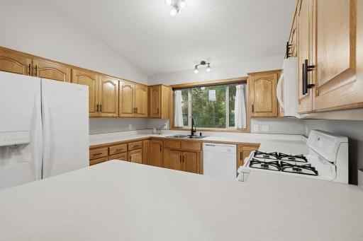 14-web-or-mls-6149_384th_Ln_North_Branch_MN_0925.jpg