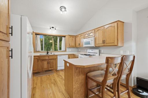 12-web-or-mls-6149_384th_Ln_North_Branch_MN_0915.jpg