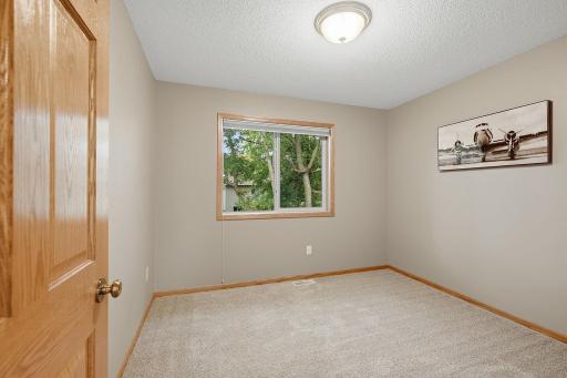 17-web-or-mls-6149_384th_Ln_North_Branch_MN_0940.jpg