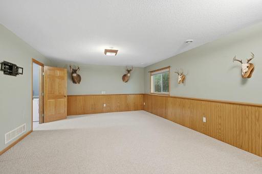 29-web-or-mls-6149_384th_Ln_North_Branch_MN_1000.jpg