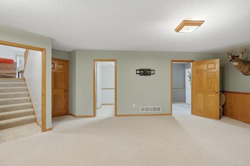 33-web-or-mls-6149_384th_Ln_North_Branch_MN_1020.jpg