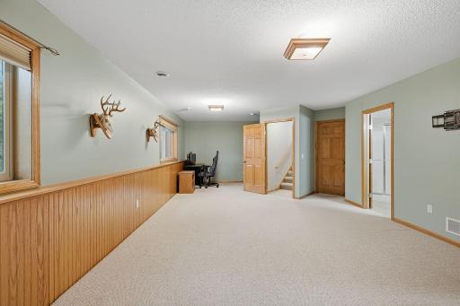 31-web-or-mls-6149_384th_Ln_North_Branch_MN_1010.jpg