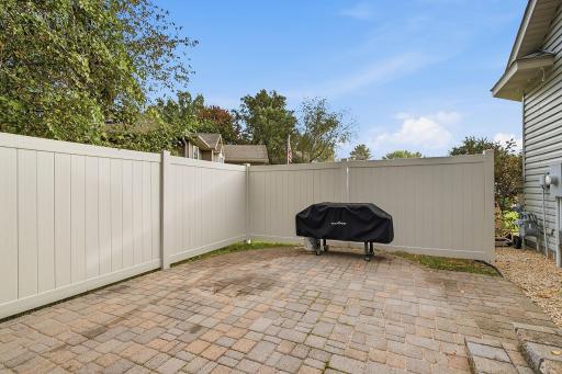 41-web-or-mls-6149_384th_Ln_North_Branch_MN_1060.jpg