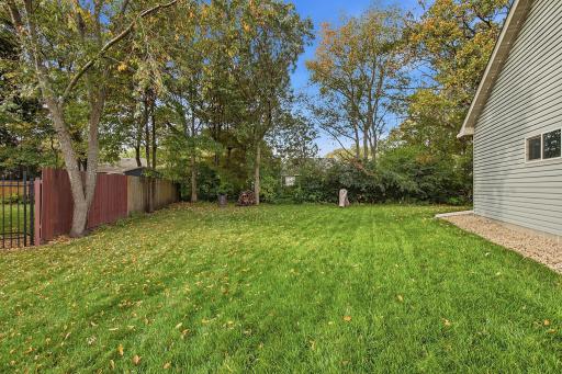 49-web-or-mls-6149_384th_Ln_North_Branch_MN_1100.jpg