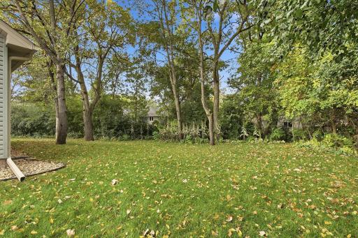 54-web-or-mls-6149_384th_Ln_North_Branch_MN_1125.jpg
