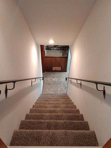 Seller just installed brand new carpet in basement!