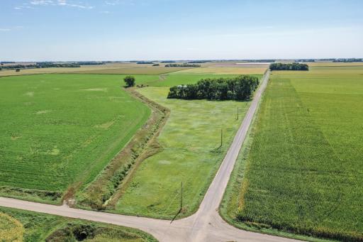 14 Acres - 2 Homes on one Parcel 18413 60th St SW Prinsburg