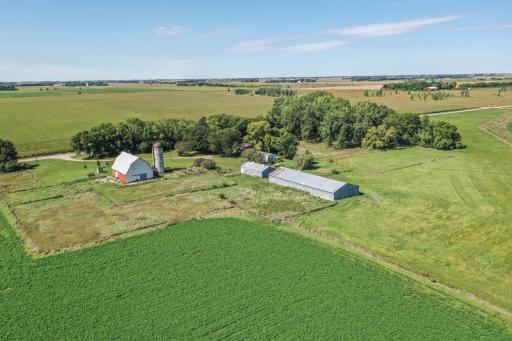 14 Acres - 2 Homes on one Parcel 18413 60th St SW Prinsburg