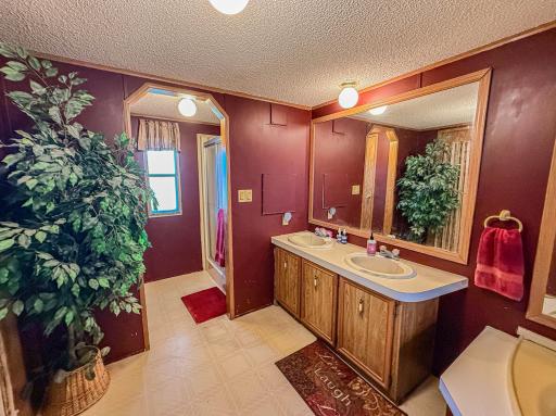 1993 Schult Home - Primary Bedroom Bathroom