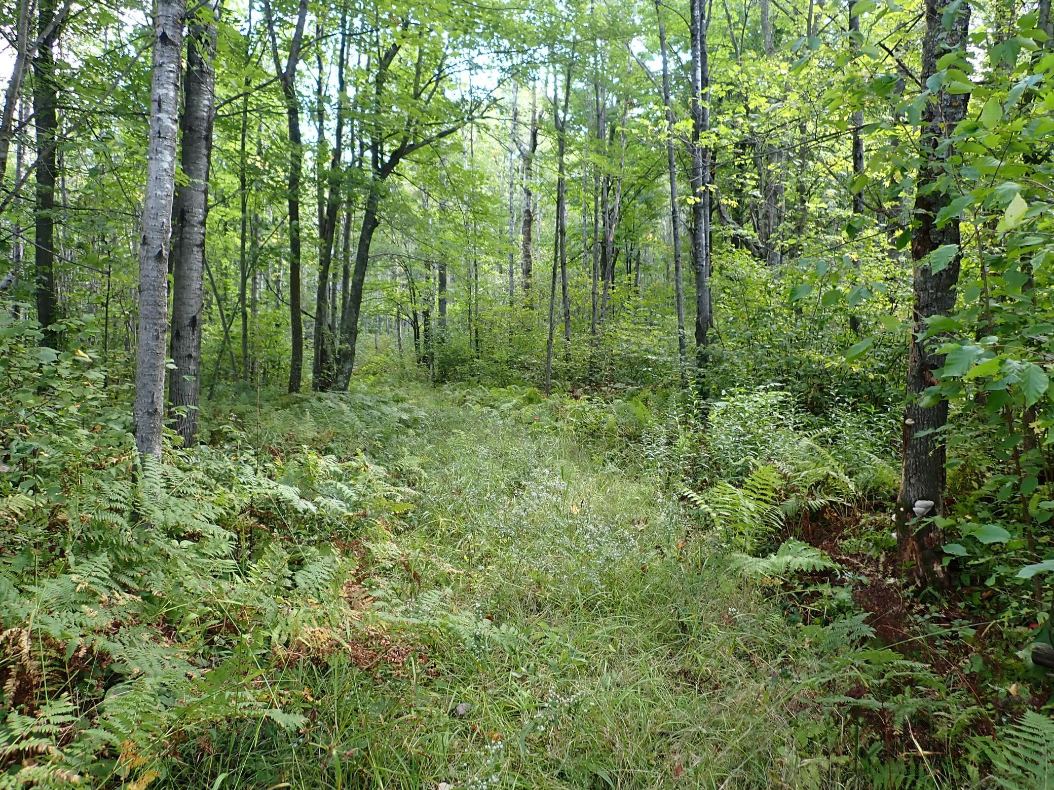 Headed West on the path/roadway