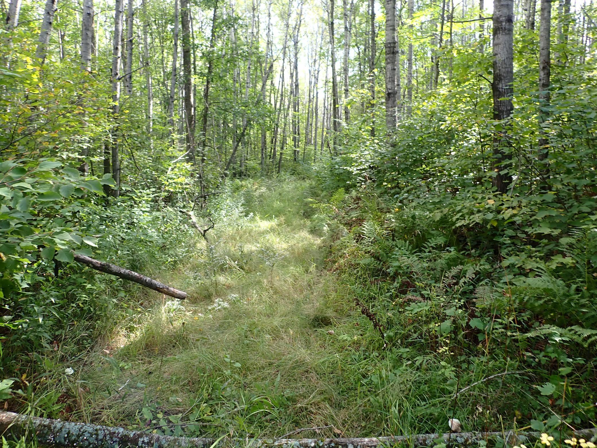 Headed generally West on the road/path