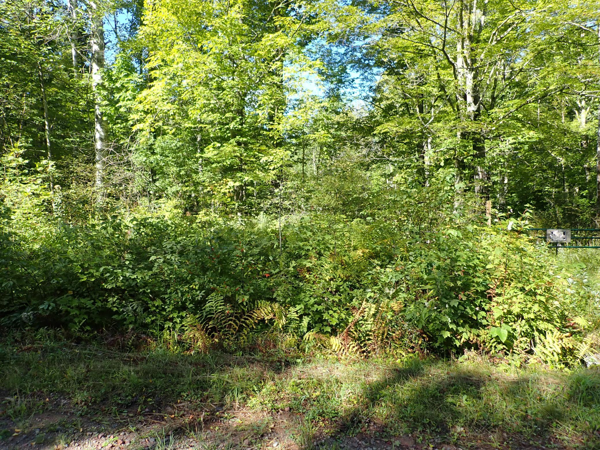 The front of the property as seen on Reuben Johnson road. Note the gate seen at RH side of frame to enter the land.