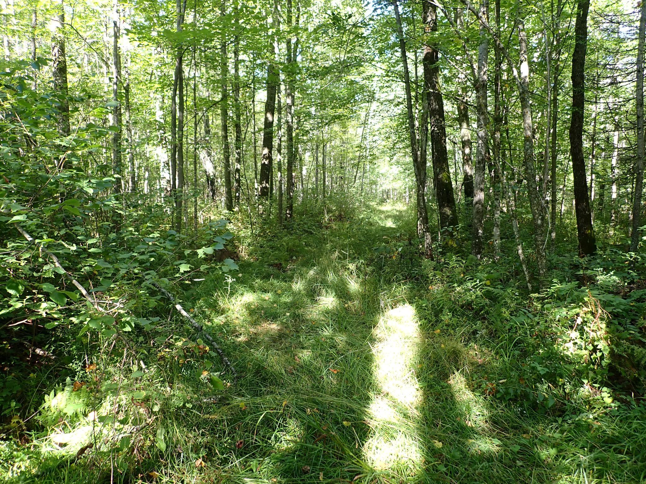 Heading WNW on the property.