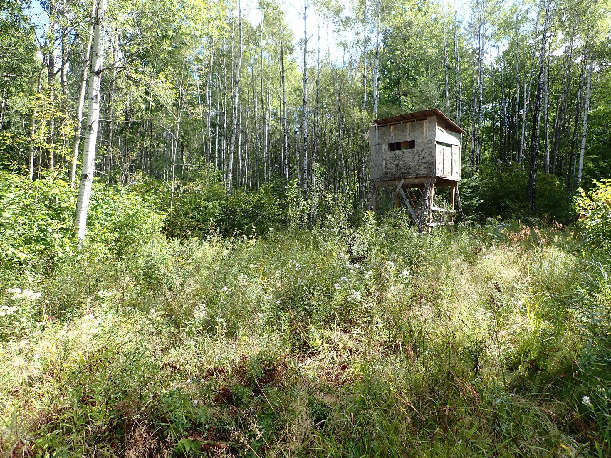 Deerstand faces West with a ladder access at the back (eastern side) of the stand.