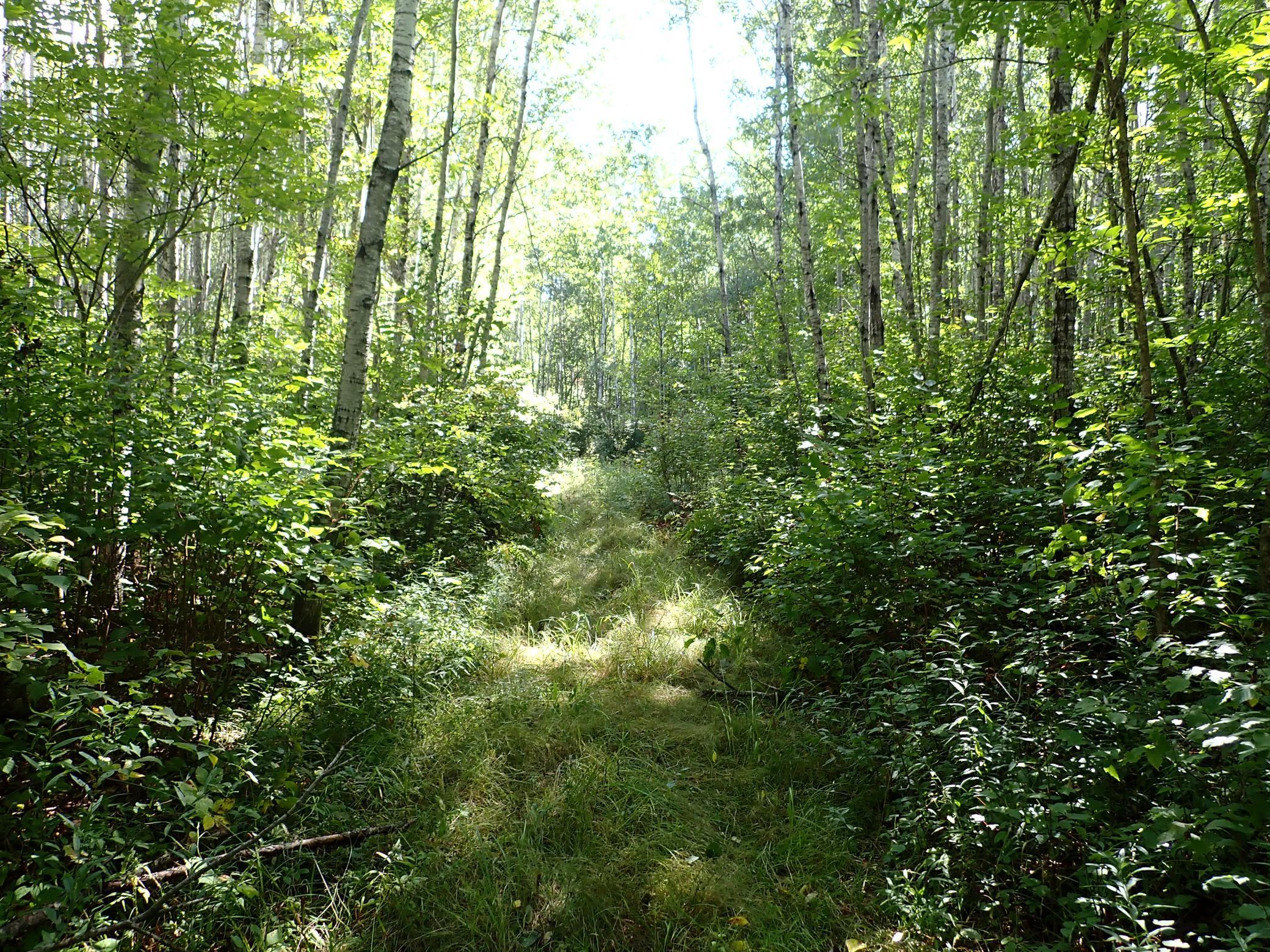 Headed West in the Westernmost parcel from the back lotline.