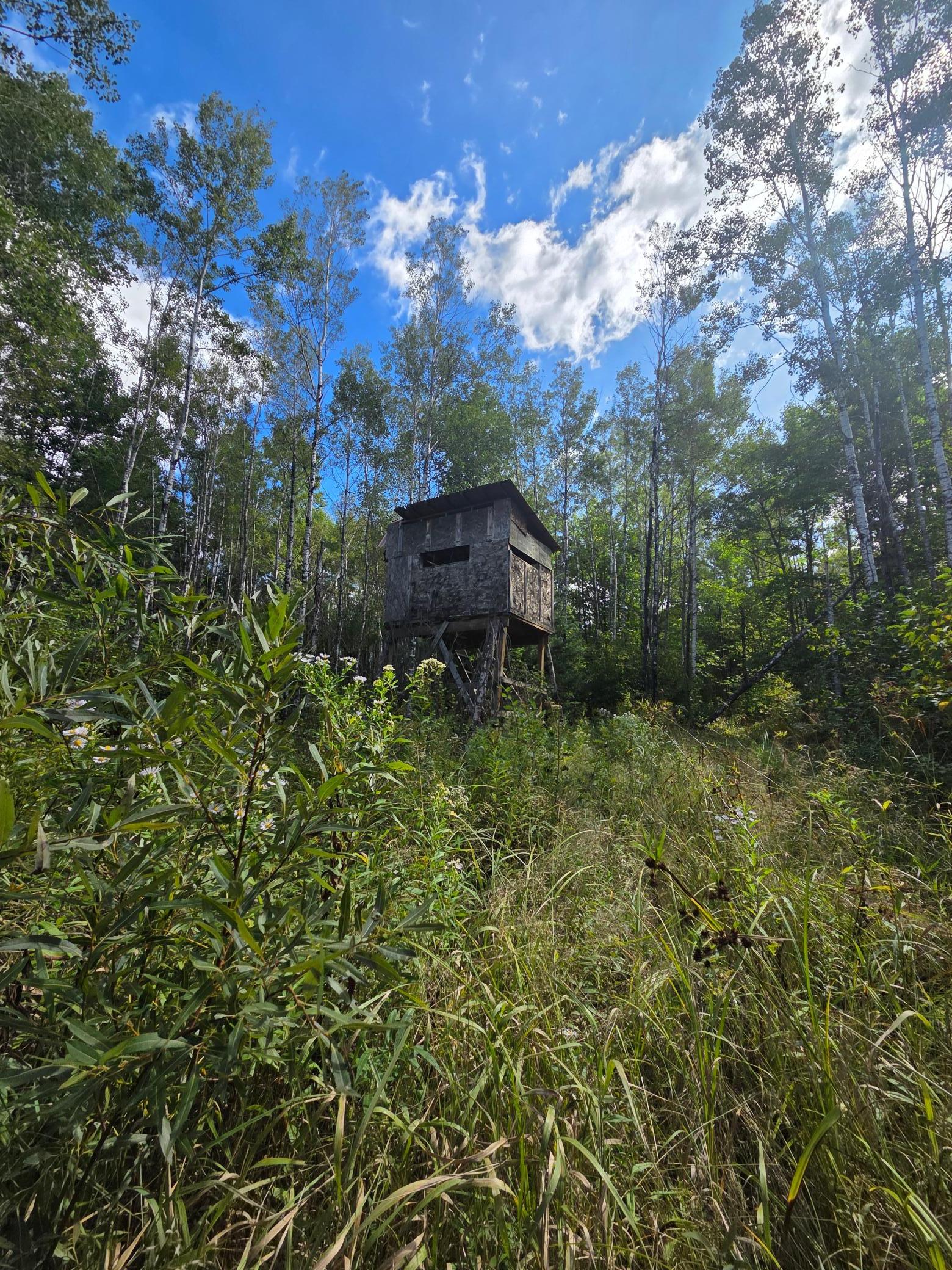 Located at generally the midpoint of the two parcels, this deerstand was constructed by the previous owner and overlooks a clearing of 1/4-1/2 acre that would make a great food plot.