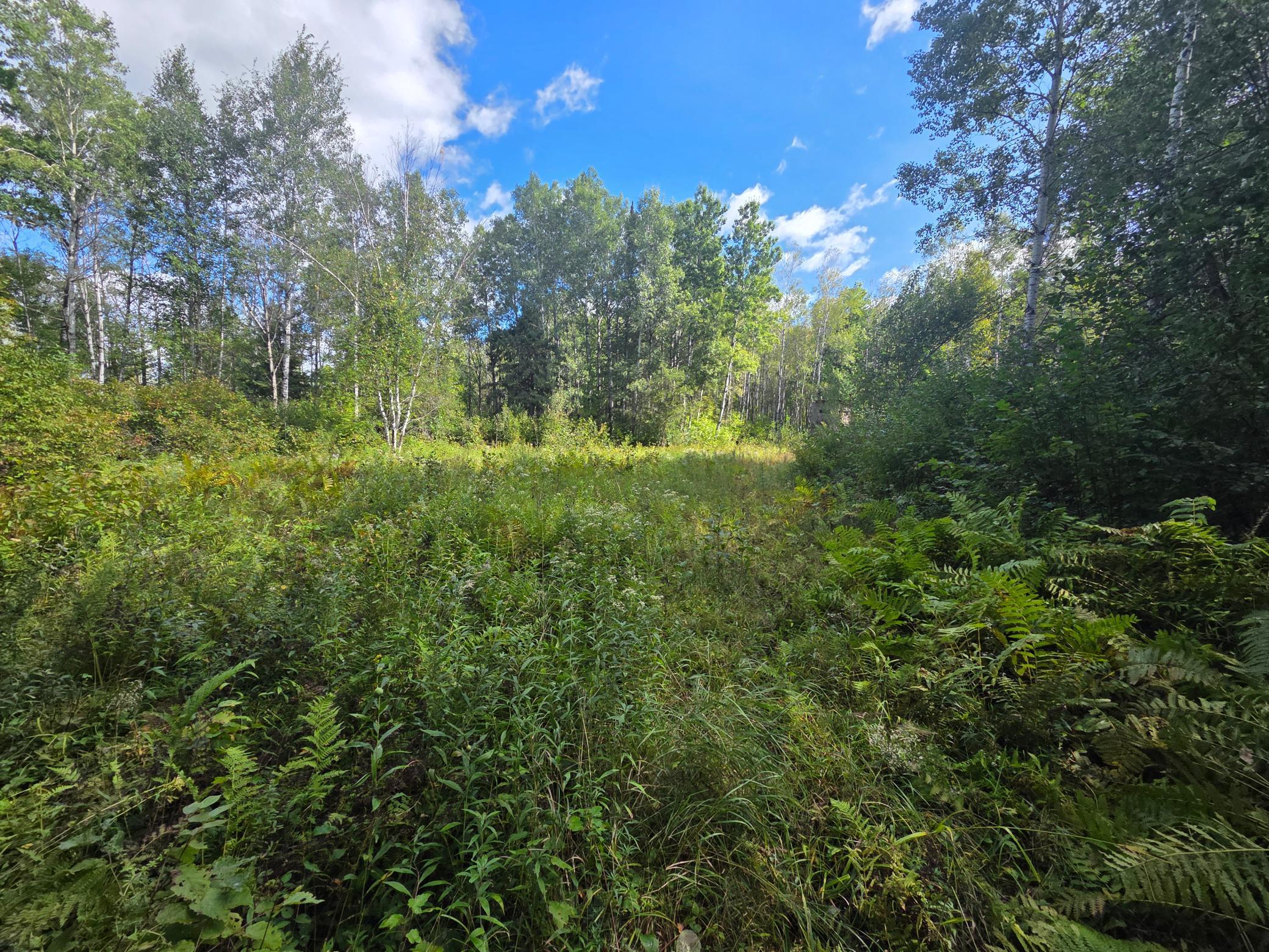 The cleared area visible from aerial photos and facing SW.