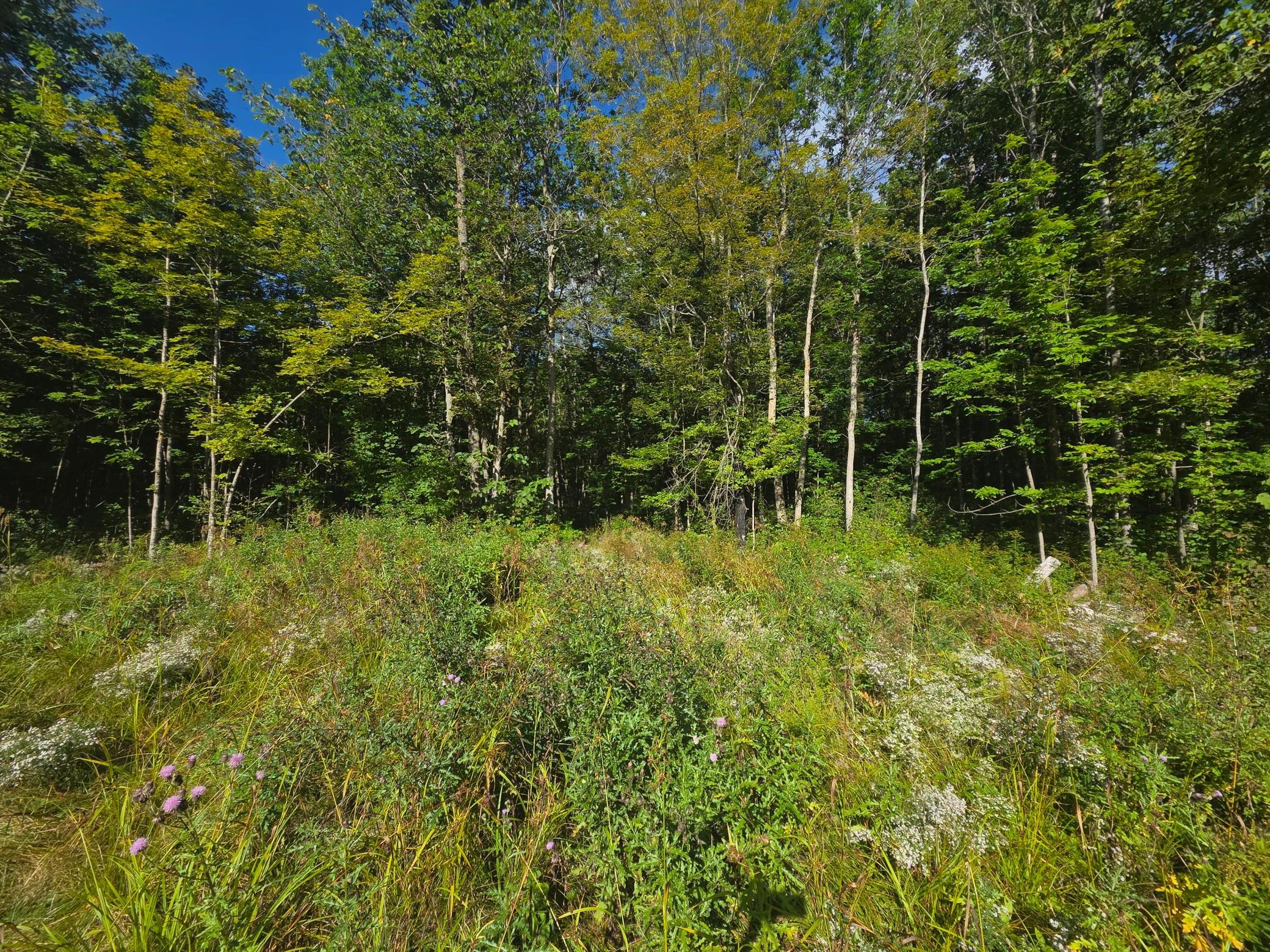 Approximately .5 acres has been cleared fronting Reuben Johnson Rd on the East side of the easternmost parcel.