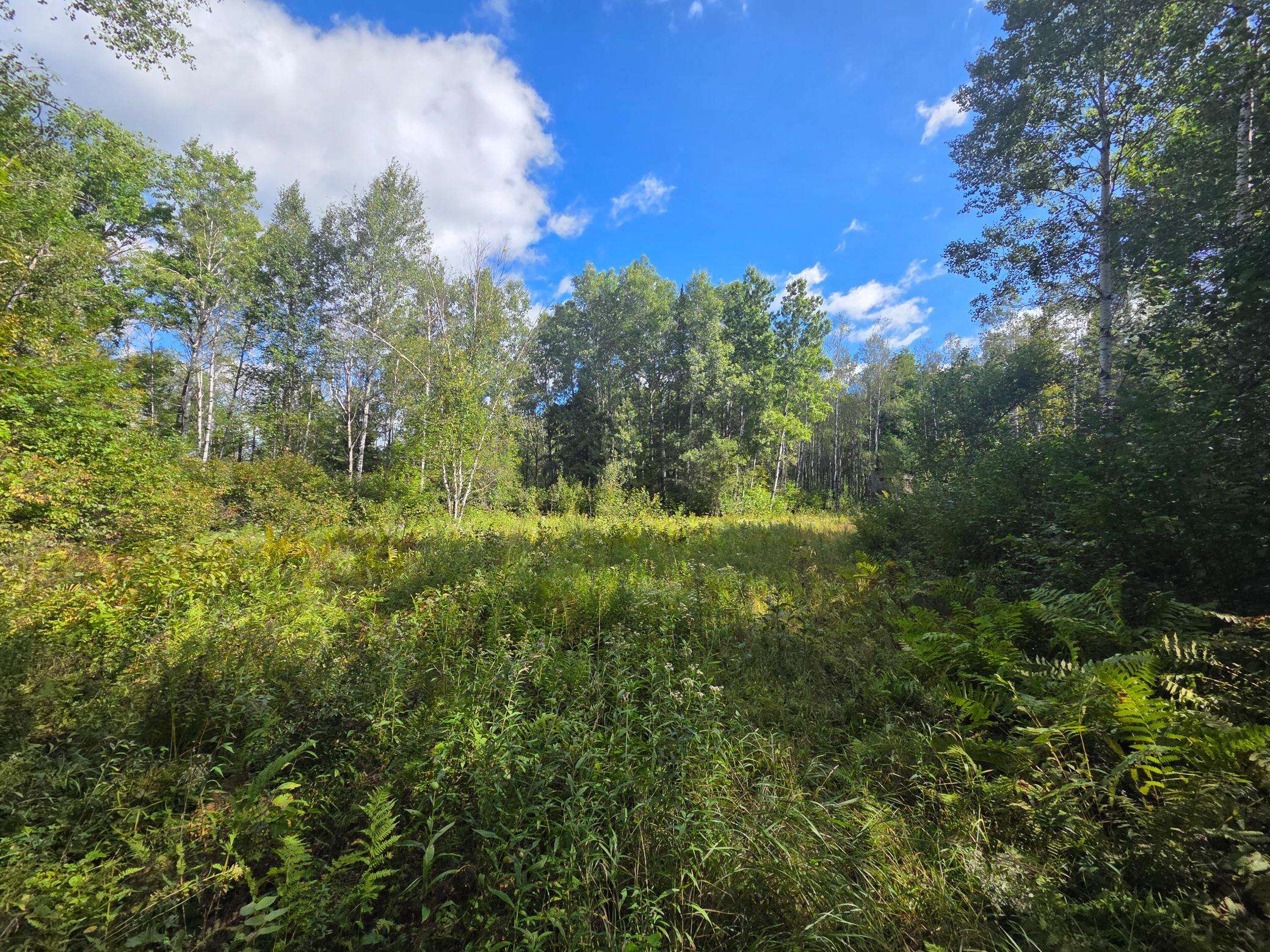 Alternate view looking generally WSW from the entrance to the property.