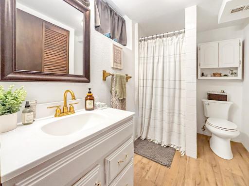 Lower level bathroom!