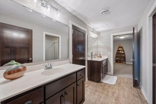 Lower Level Jack and Jill 3/4 Bathroom