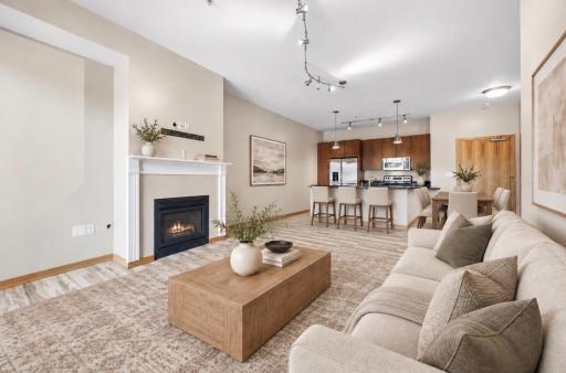 4525 Park Commons Drive, 216, Saint Louis Park, MN 55416