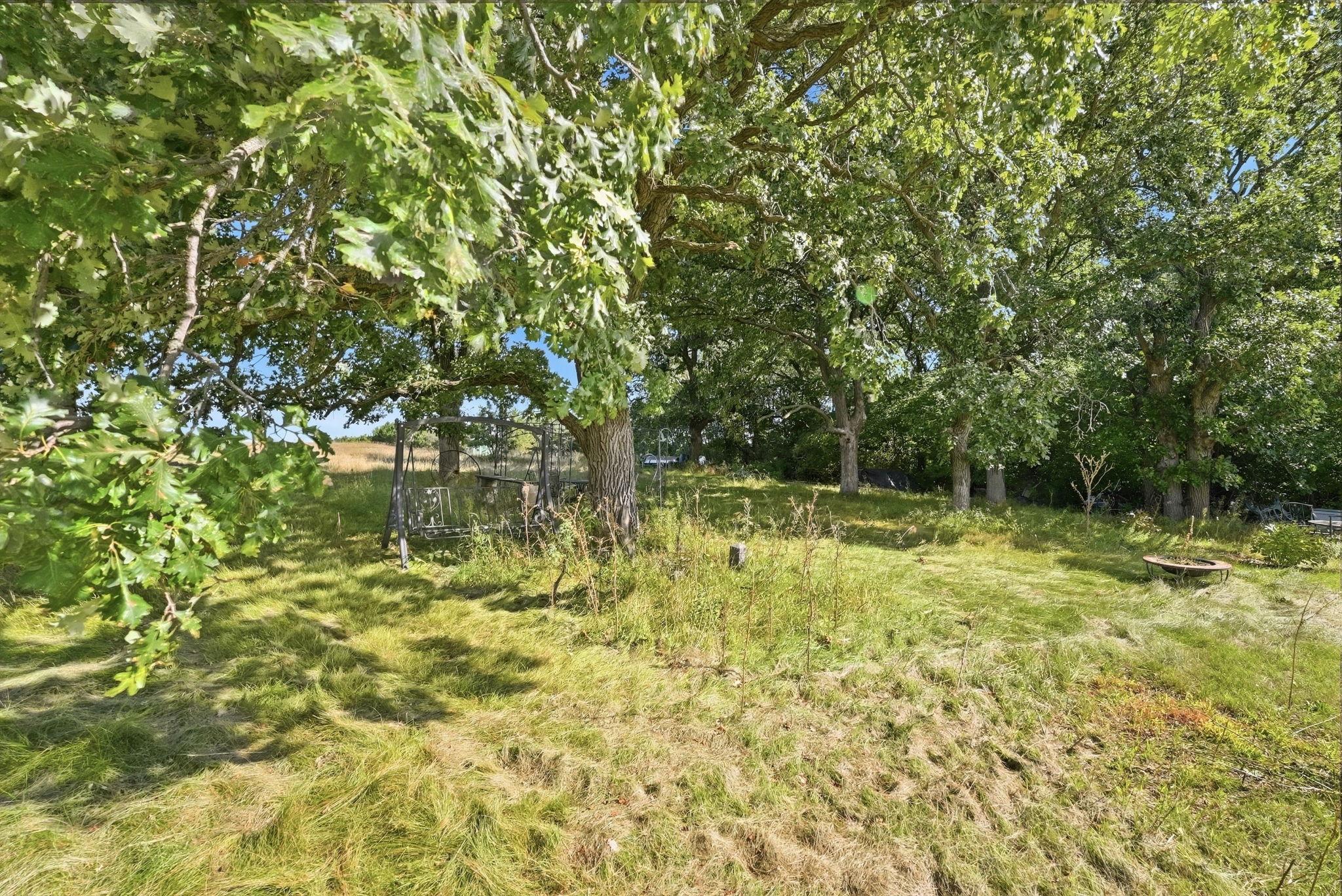 The lush surroundings create a peaceful backdrop for the future home.