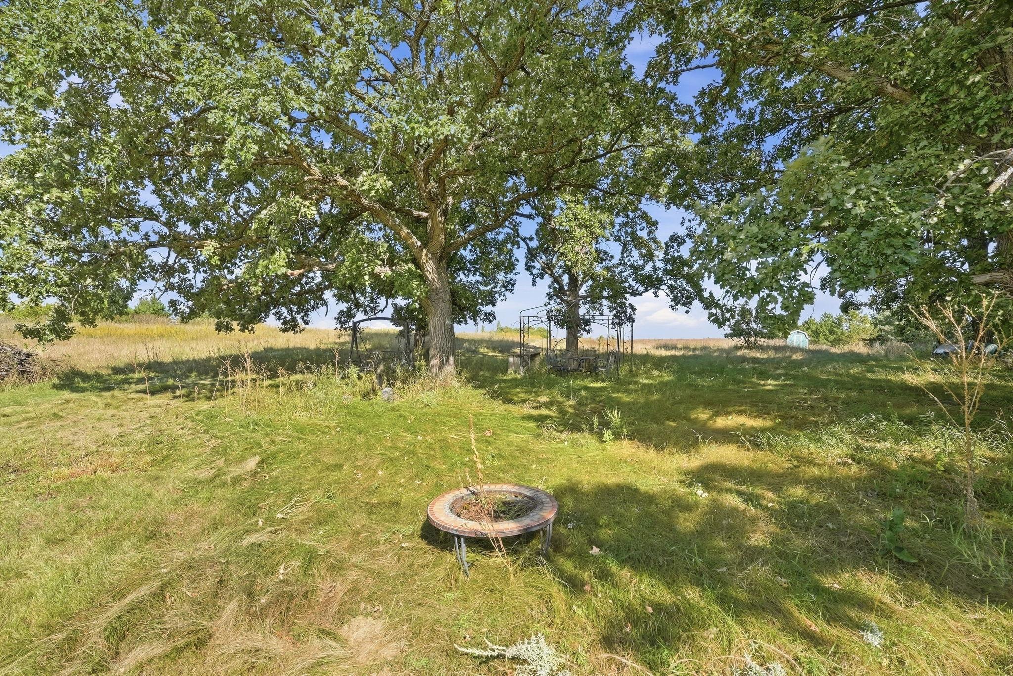Mature wooded area becomes a great place to enjoy the water.