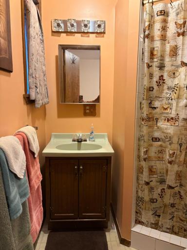 38258 Deer Lake Way, Grand Rapids, MN 55744