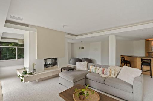 See through fireplace from Media to Rec Room space