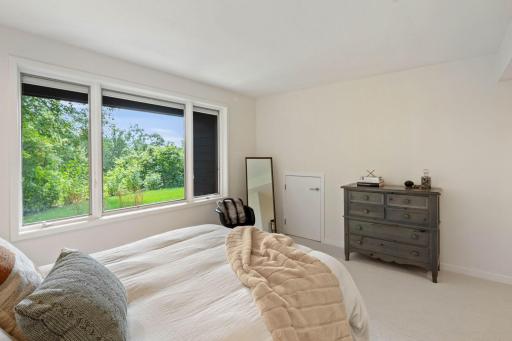 LL Bedroom w/south views, large walk-in closet and under the staircase storage as well.