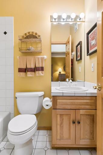 Full Guest Bathroom