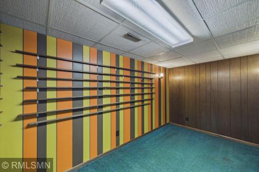 Lower level family room