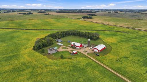 Note the mature grove and large area for pasture