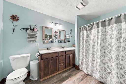 20202 425th Avenue, Arlington, MN 55307