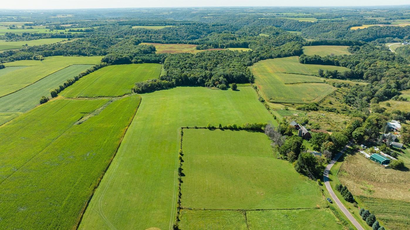 DJI_0601.jpg
