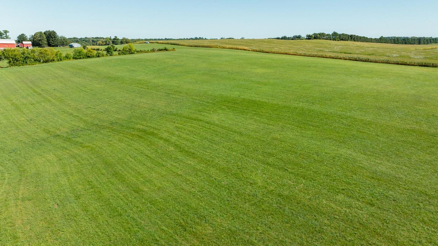 DJI_0614.jpg