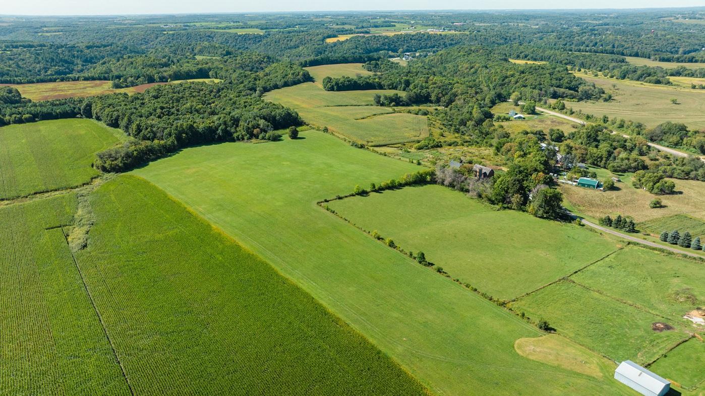 DJI_0600.jpg