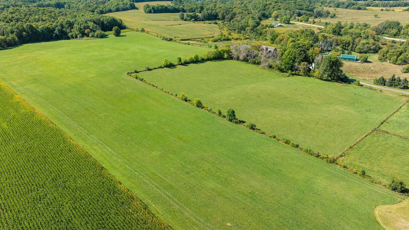 DJI_0599.jpg