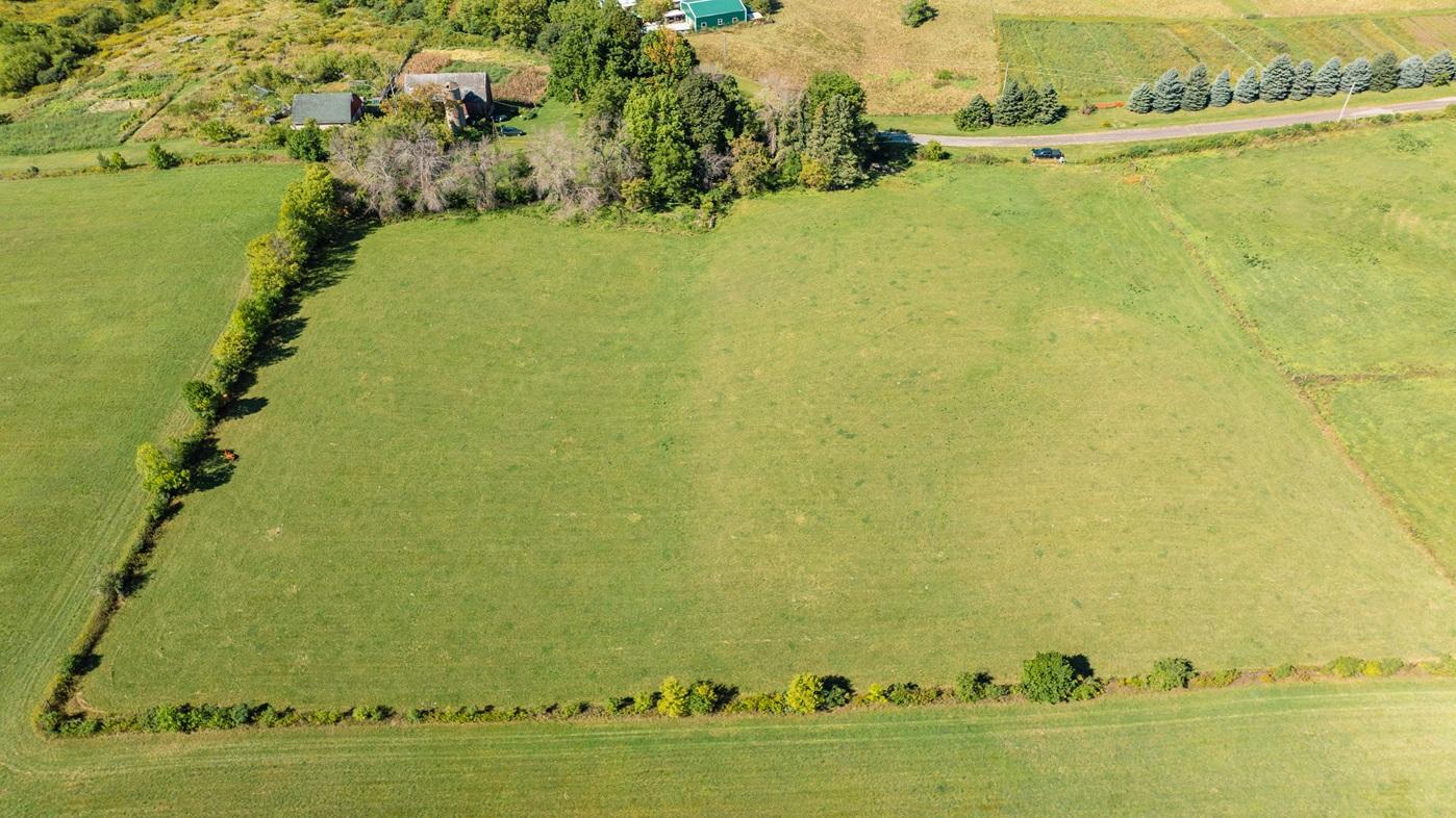 DJI_0618.jpg