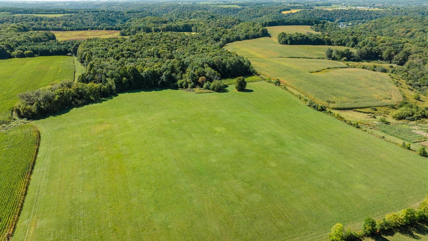 DJI_0620.jpg