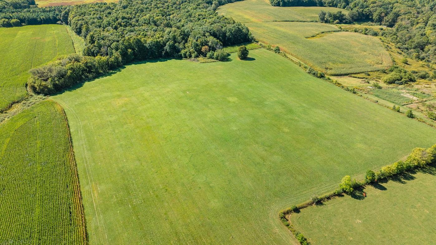 DJI_0619.jpg
