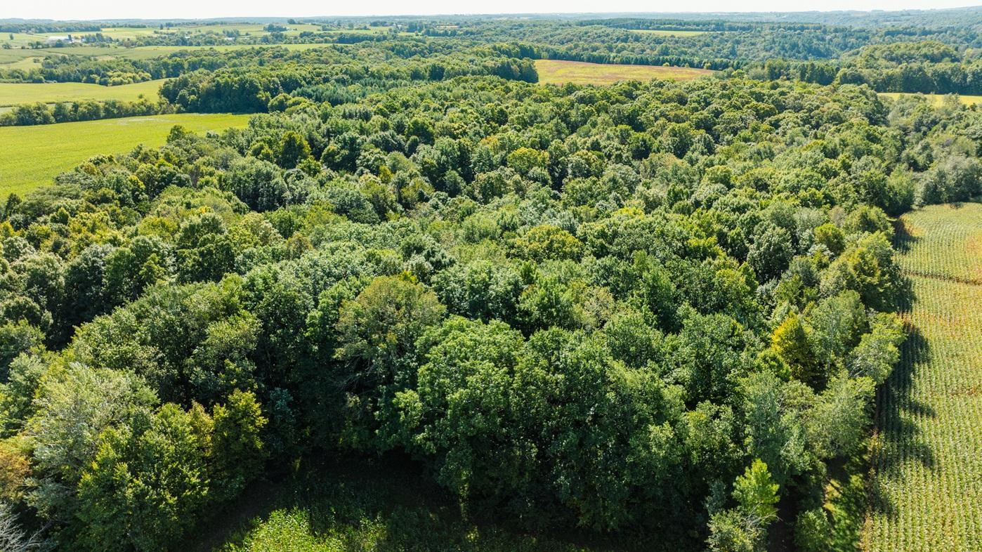 DJI_0613.jpg