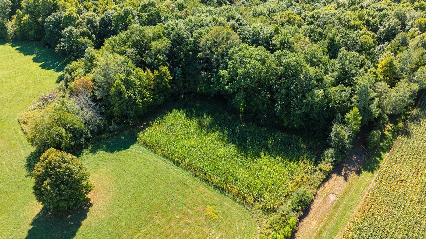 DJI_0612.jpg