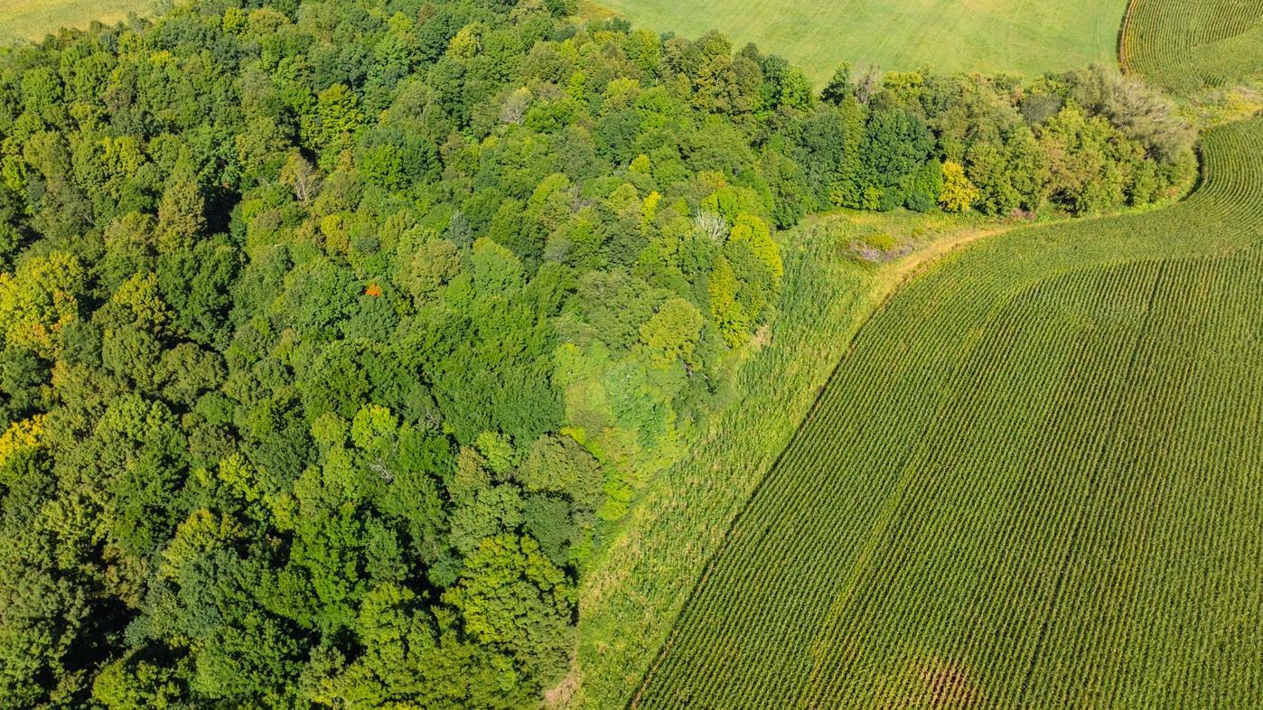 DJI_0610.jpg