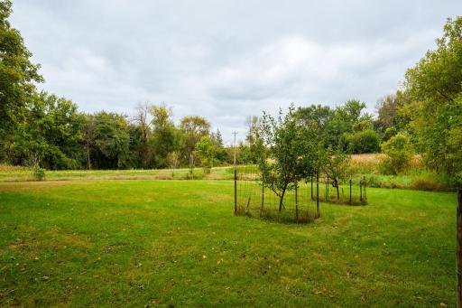Two apples trees are producing apples already. Next step, a veggie garden. There is plenty of space for one.