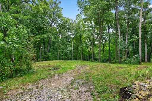 20542 Mayapple Lane, Preston, MN 55965